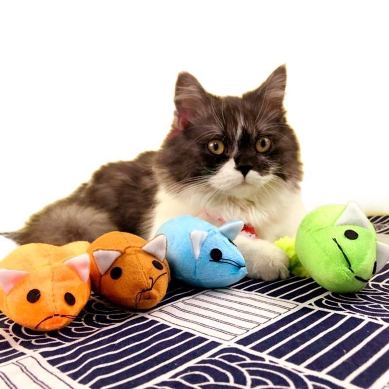 Long Tail Mouse Cat Teaster Toys Funny Pet Toys Cat Toys Mouse Trainning Funny Playing Toys Interactive Pets Products