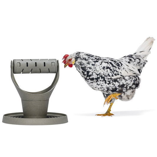 Torre de alimentación para gallinas de traspatio – Promueve el ejercicio y la estimulación mental