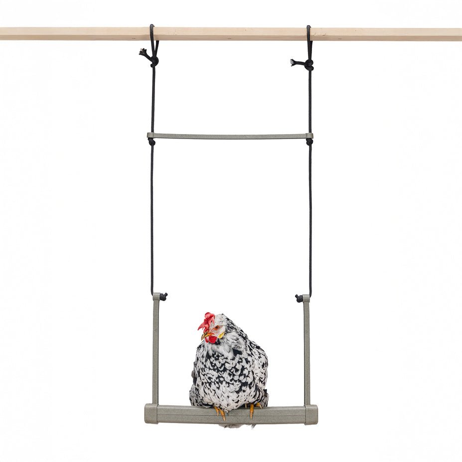 Columpio de Pollo para Patio Trasero – Material Duradero y Reciclado para la Actividad del Rebaño