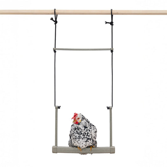 Columpio de Pollo para Patio Trasero – Material Duradero y Reciclado para la Actividad del Rebaño