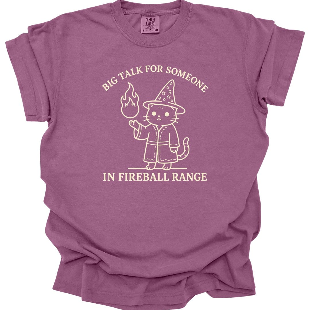 Big Talk for Someone in Fireball Range T-Shirt - Comfort Colors