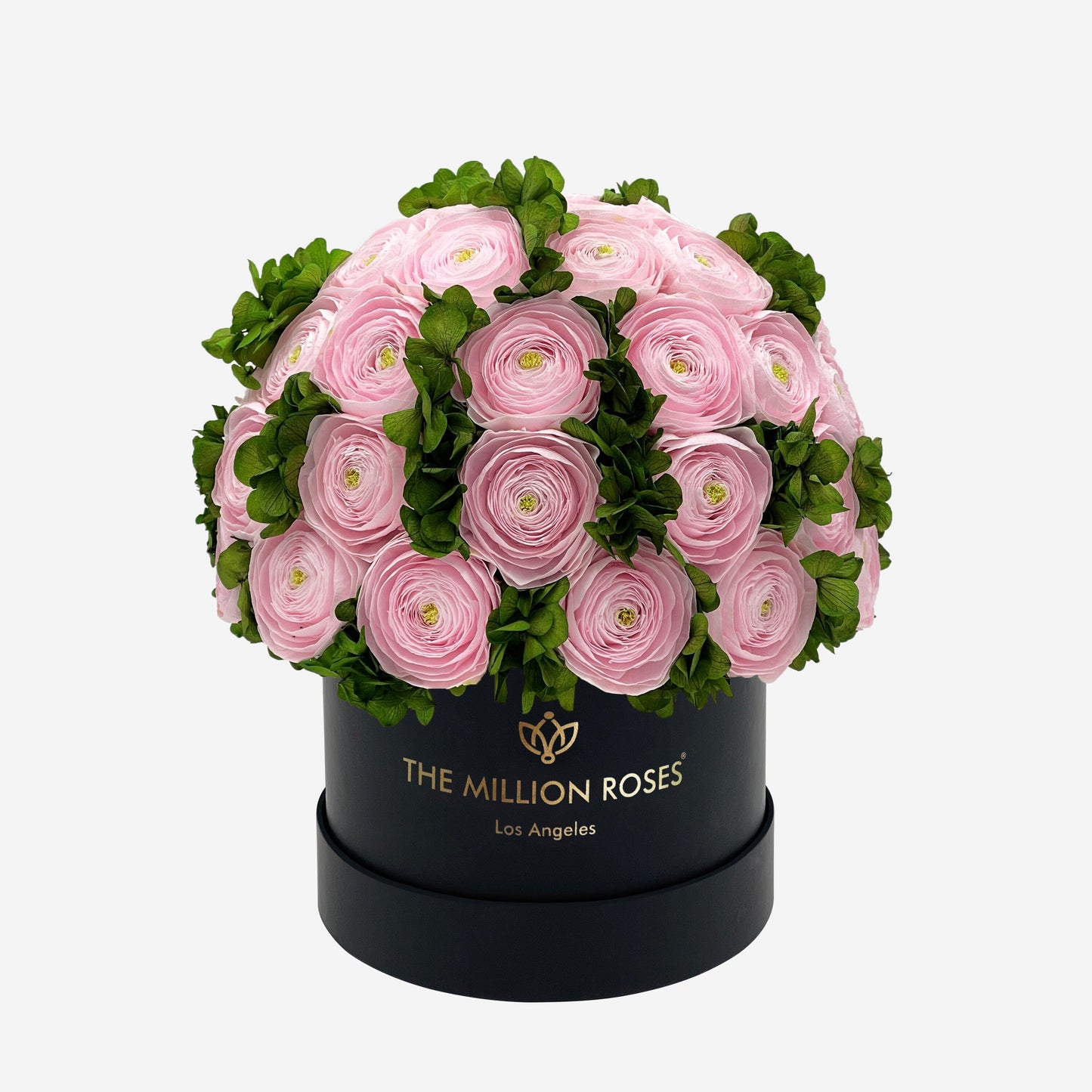 Caja Negra Clásica | Ranúnculos Persas Rosa Claro y Hortensias Verdes