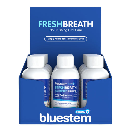 bluestem Agua Adit Original