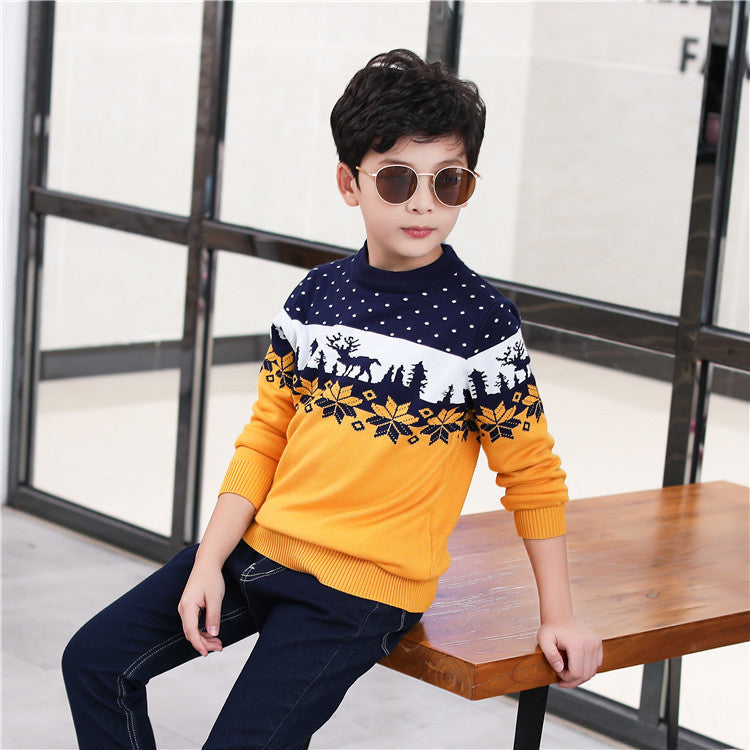 Boys' Thick Knitted Sweater for Autumn and Winter - # BAAA111310003 & BOAA11510036