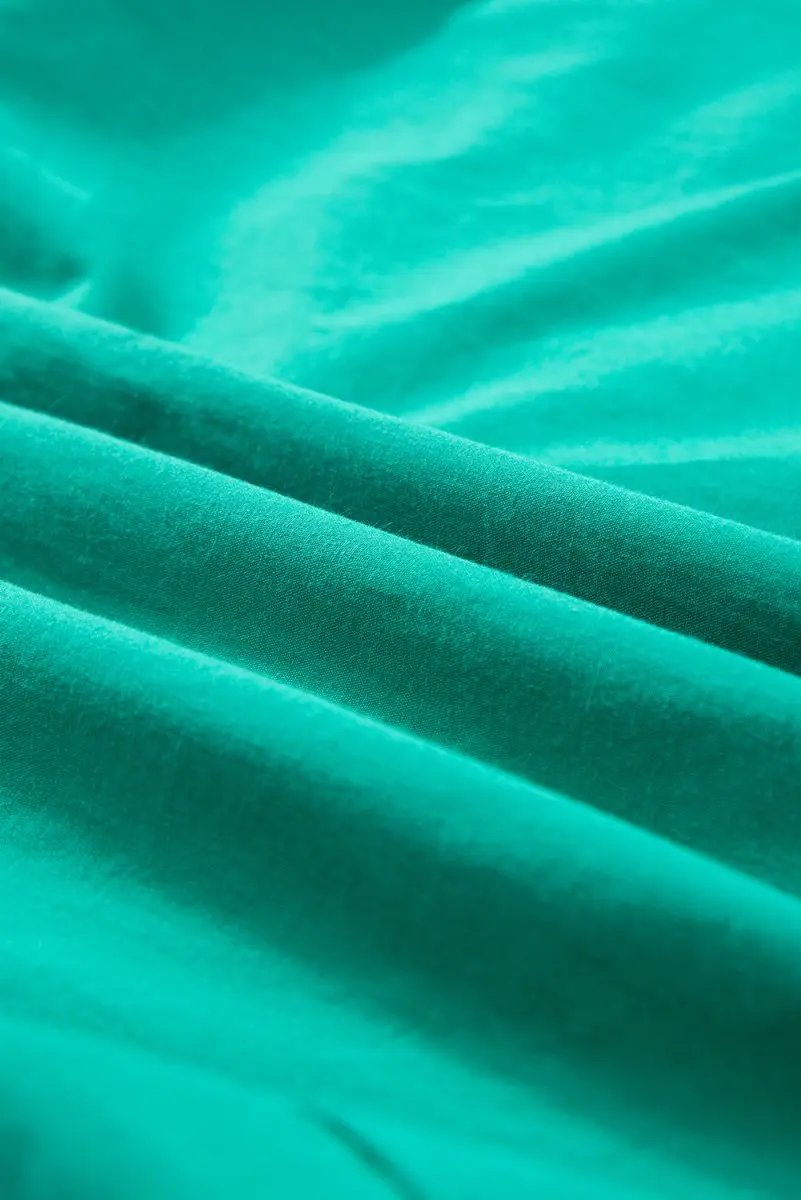 Women's Dress Green Shirred Mini Dress - Ruffle Sleeves & Button Up - Summer