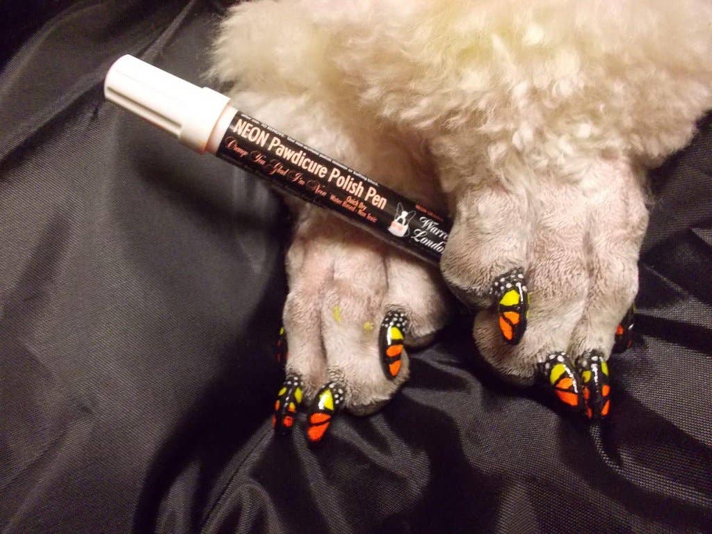 Nail Polish Pens