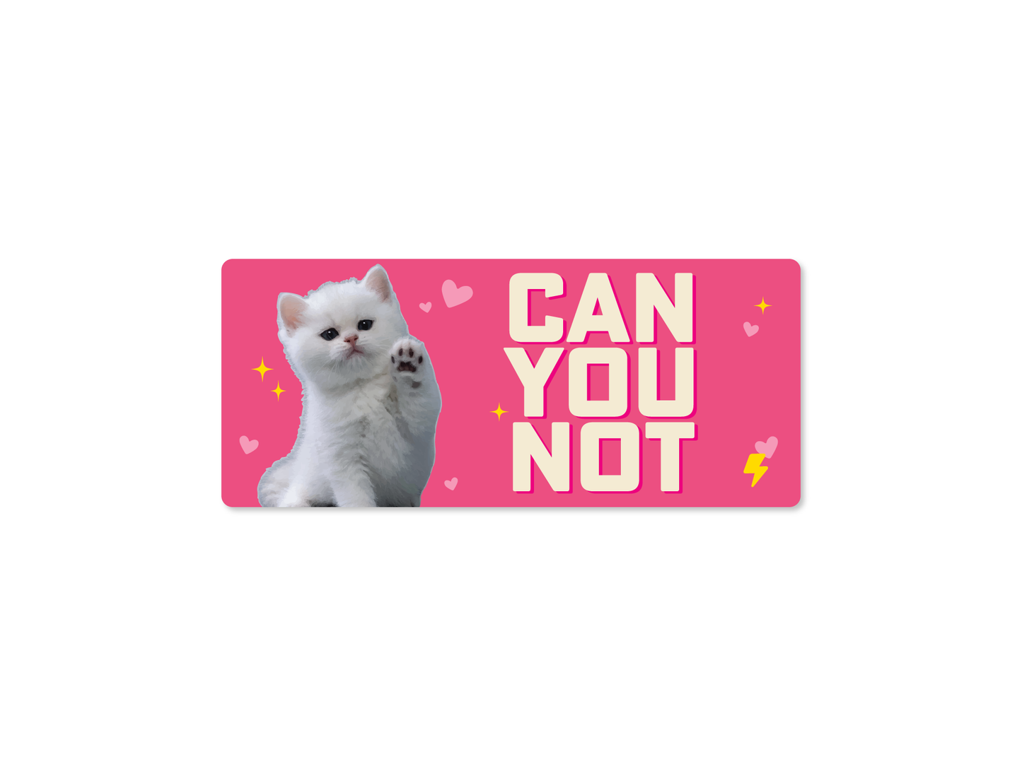 CAN YOU NOT Cat Funny Bumper Sticker or Magnet 7x3"