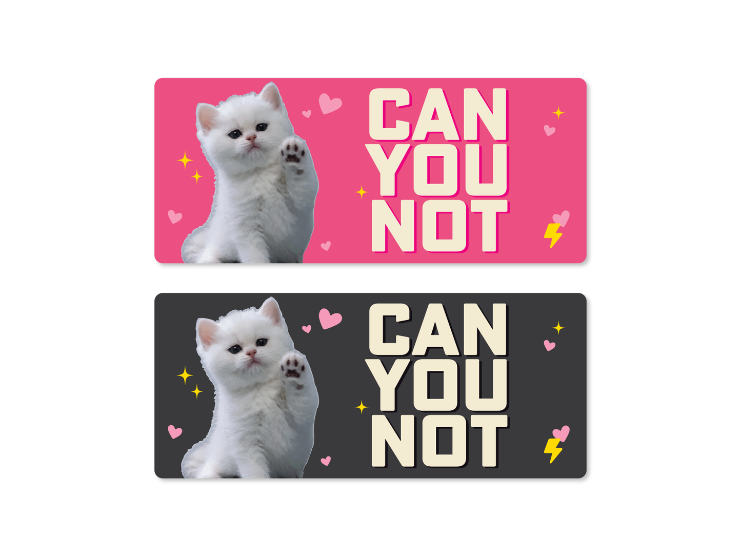 CAN YOU NOT Cat Funny Bumper Sticker or Magnet 7x3"