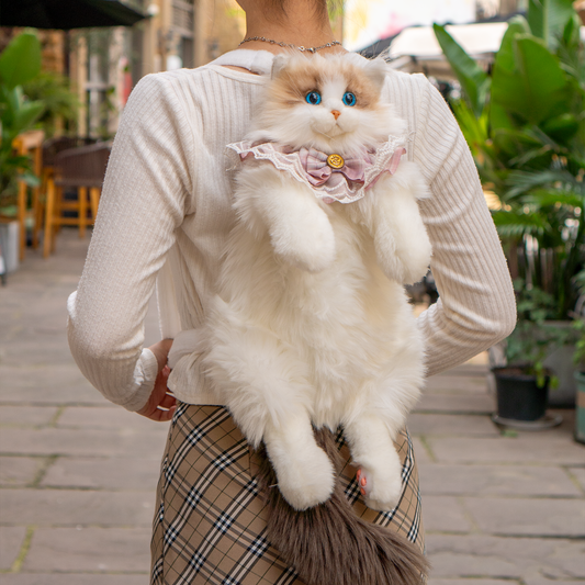 Mochila para gatos Ragdoll – Compañero cómodo para viajes y escuela