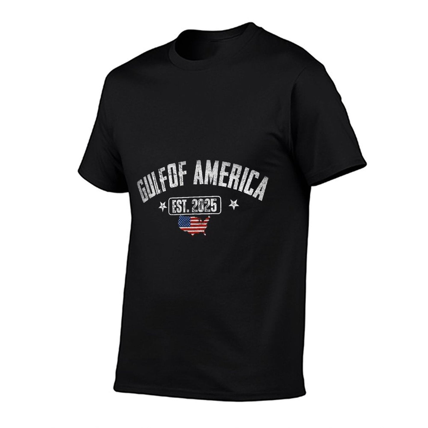 Gulf Of US America Est 2025 Vintage USA American Flag Men Oversized Silhouette T-Shirt