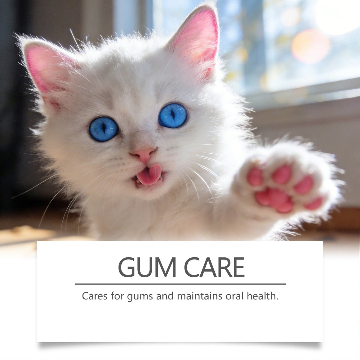 Pet Oral Spray, 30ml, Pet Oral Care, Oral Care Product for Daily Oral Care