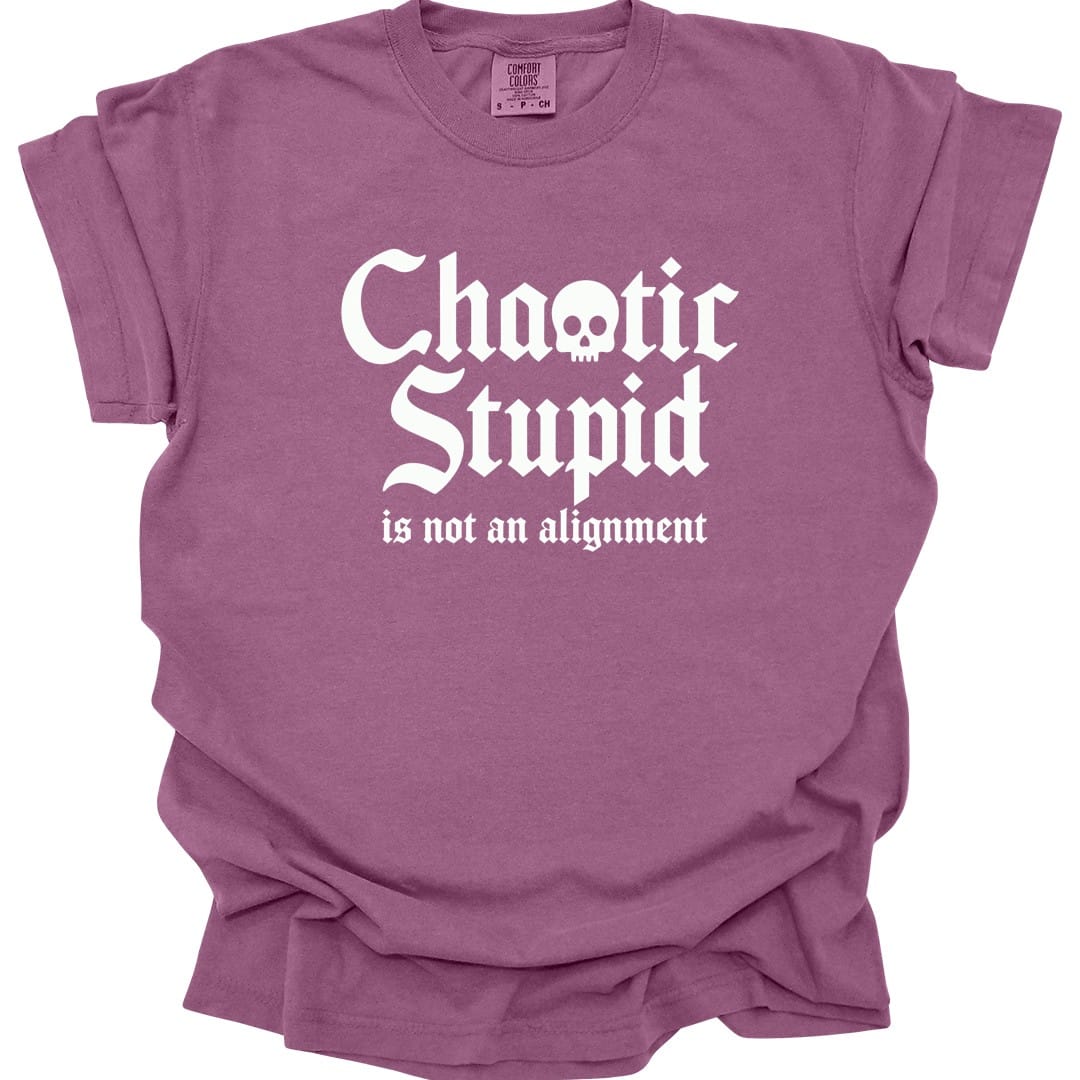 Chaotic Stupid Is Not An Alignment T-Shirt - Comfort Colors