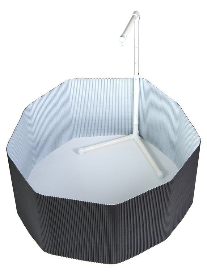 Kit de criadora de pollitos
