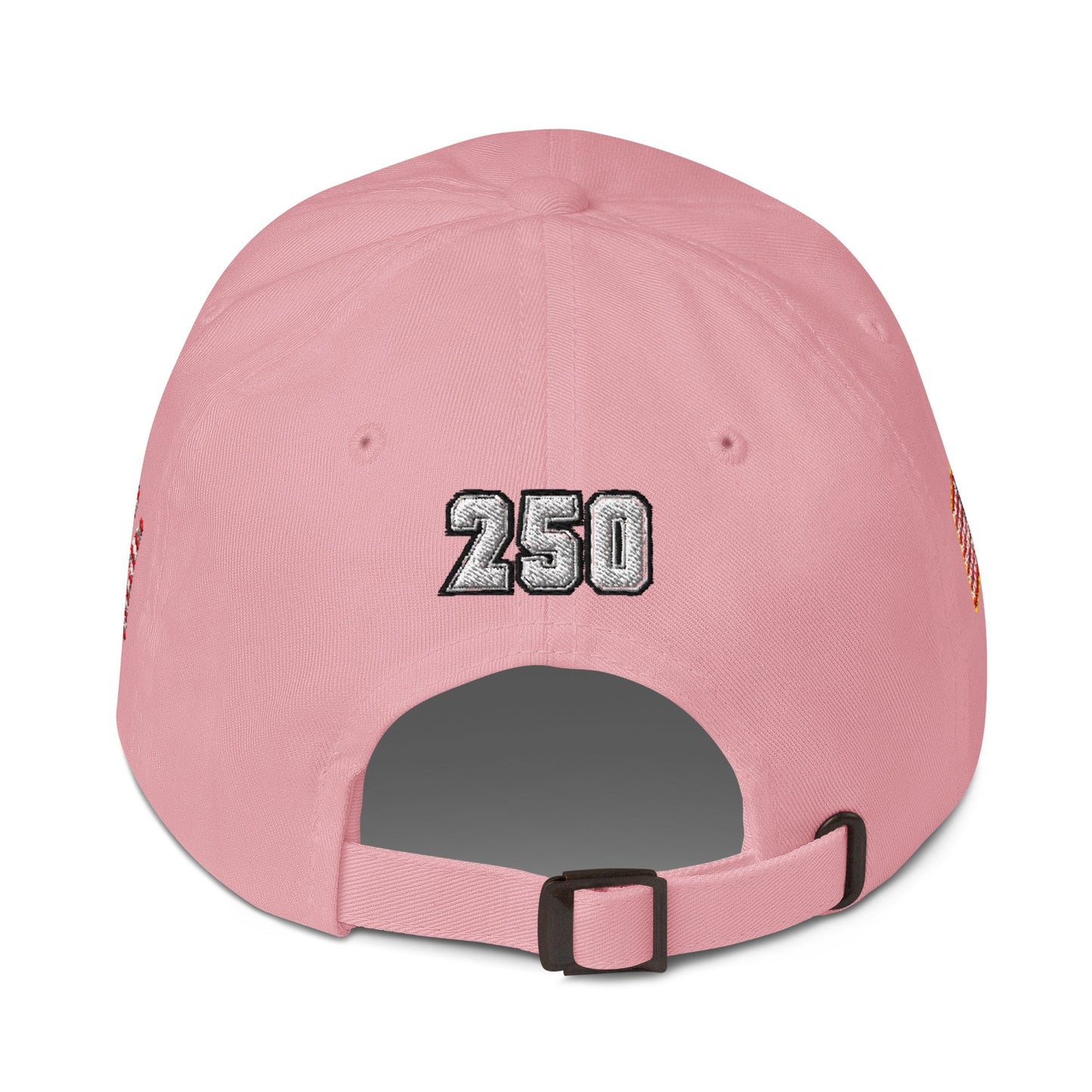 We The People - 250 year Baseball hat - 4 sided embroidery