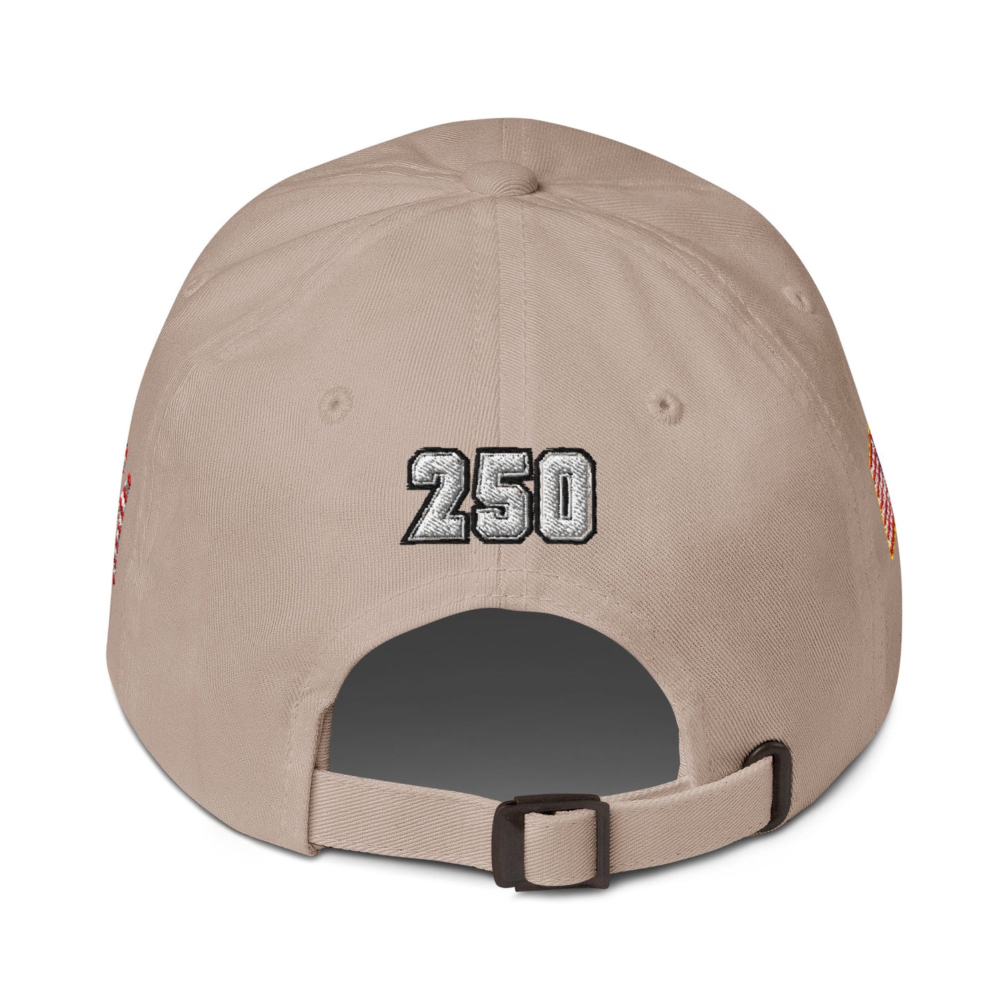 We The People - 250 year Baseball hat - 4 sided embroidery
