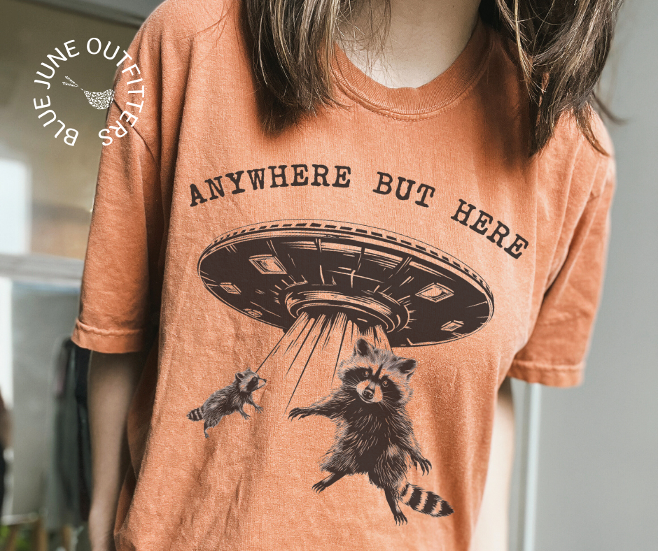 Anywhere But Here UFO | Comfort Colors® Funny Racoon Tee