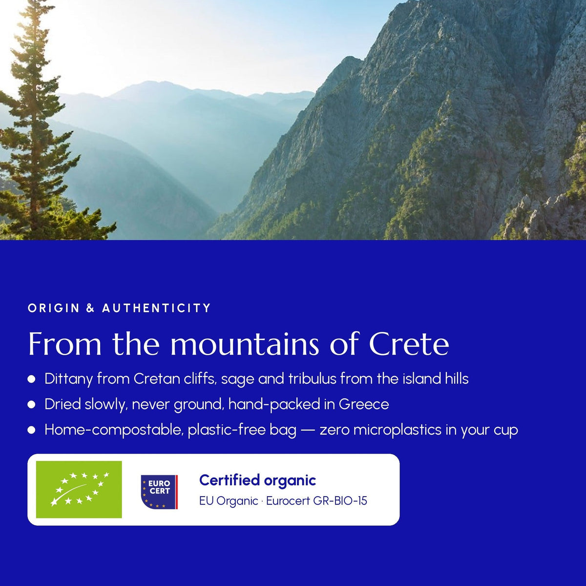 Té de Creta
