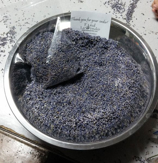Cogollos de lavanda culinaria inglesa