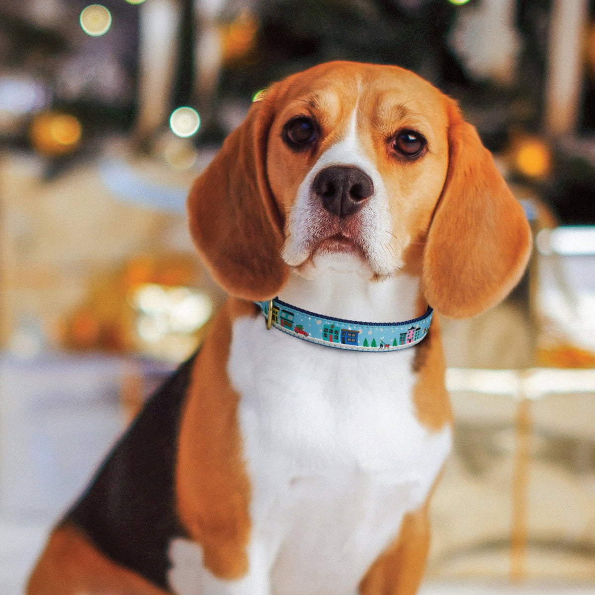City Christmas Holiday Dog Collar: Wide
