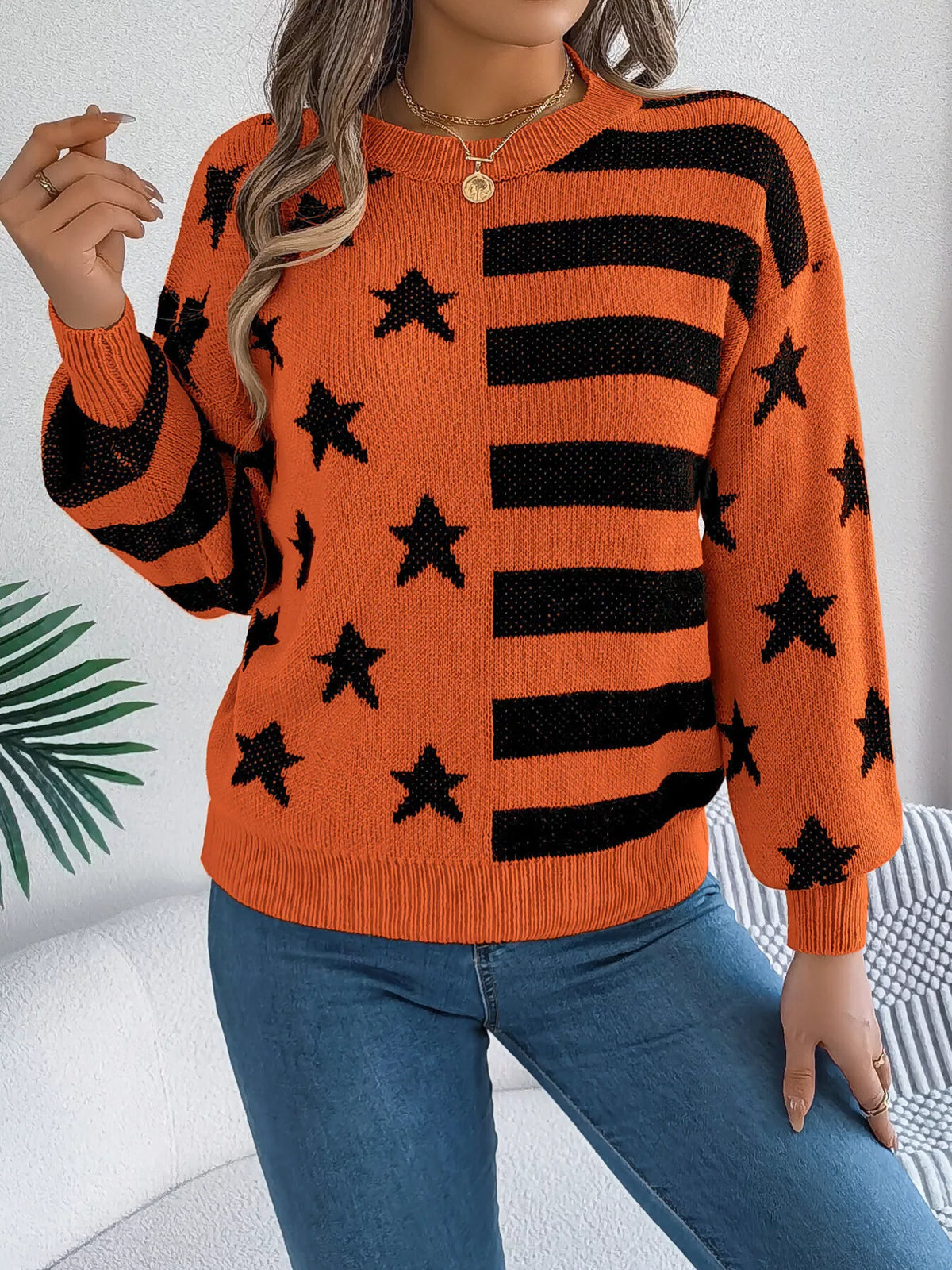 Stars and Stripes Pattern Casual Round Neck Sweater