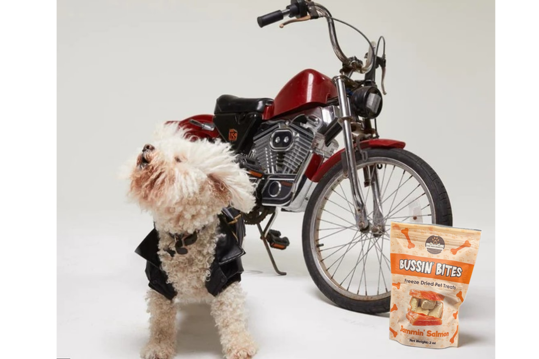 Premios de Entrenamiento Liofilizados de un Solo Ingrediente y Alto Valor para Perros y Gatos - Salmón