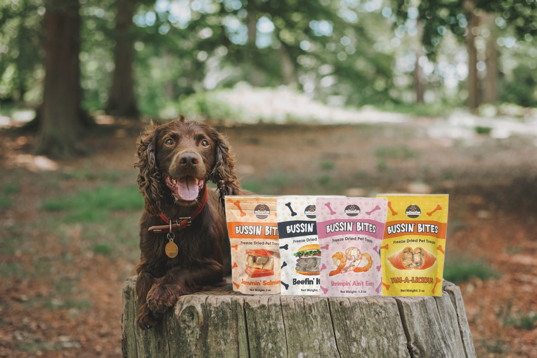 Premios de Entrenamiento Liofilizados de un Solo Ingrediente y Alto Valor para Perros y Gatos - Salmón