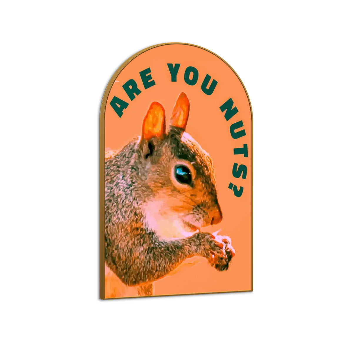 Are You Nuts? Funny Squirrel Arched Canvas Print Wall Art | Made in USA