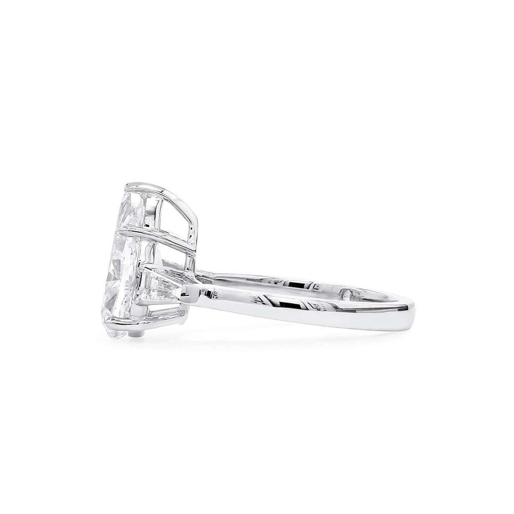 S925 Sterling Silver Platinum Plated Ring