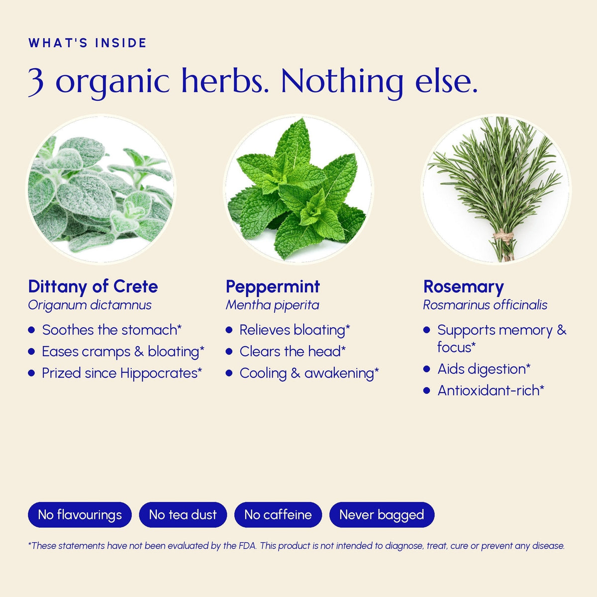 Té Digestivo