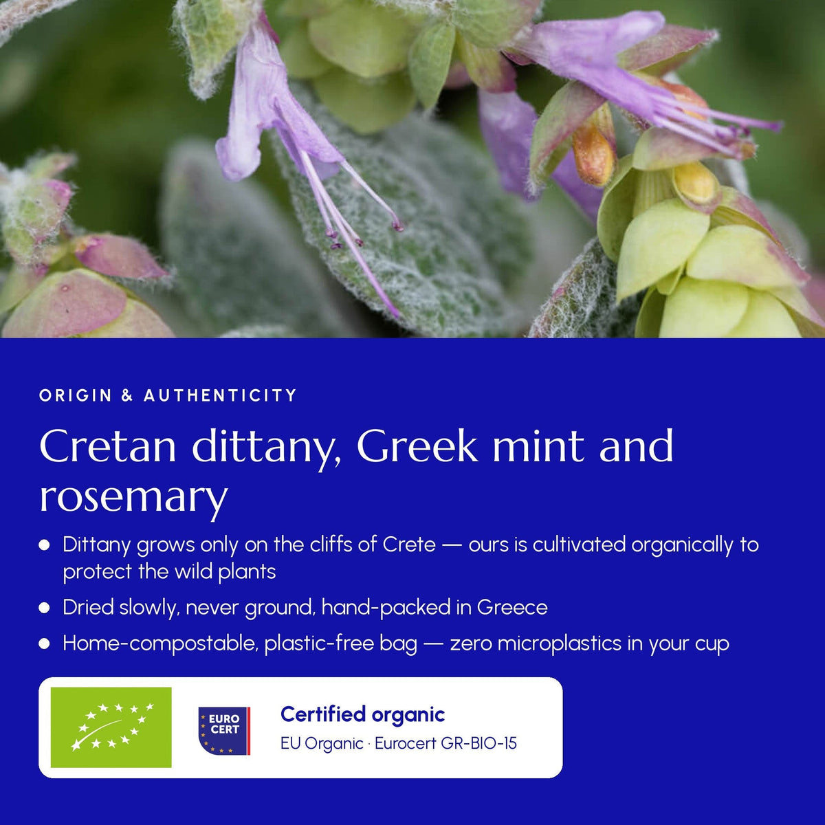Té Digestivo