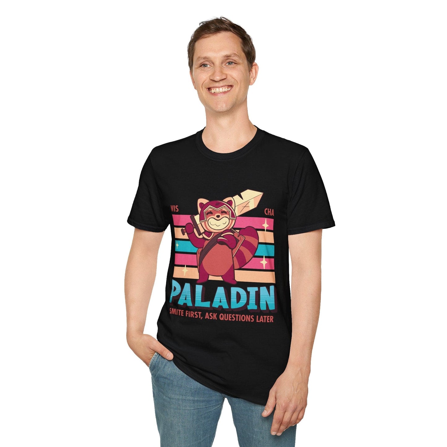 Camiseta de Paladín de D&D - Camiseta de Clase Kawaii de D&D