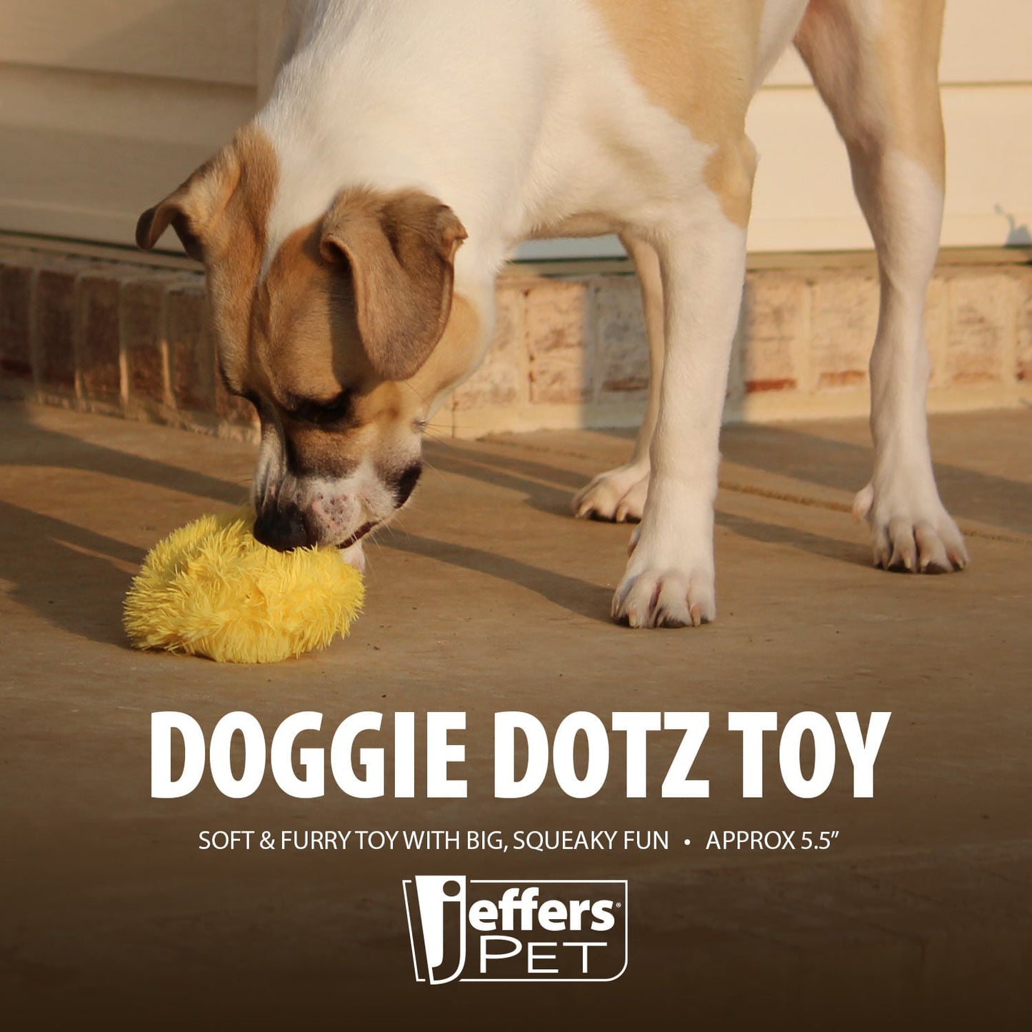 Jeffers Peluche Squeaker Doggie Dotz de 5" para perro, Unidad
