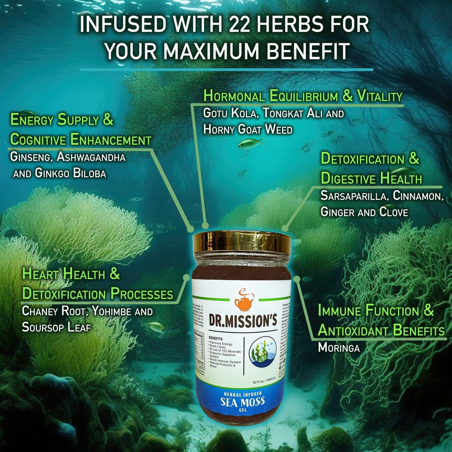 Dr. Mission Sea Moss Gel