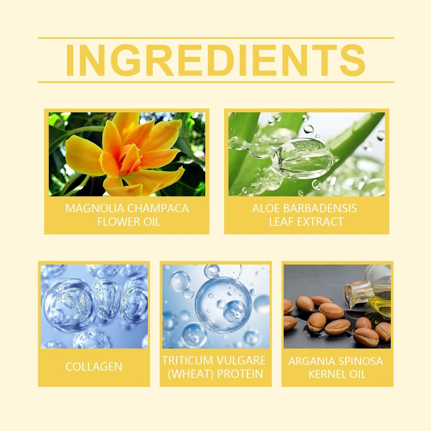 Hoegoa Hydrating Repair Mask Nourishing Moisturizing Smooth Repair Hydrating Soft Fluffy Hair Care Essence