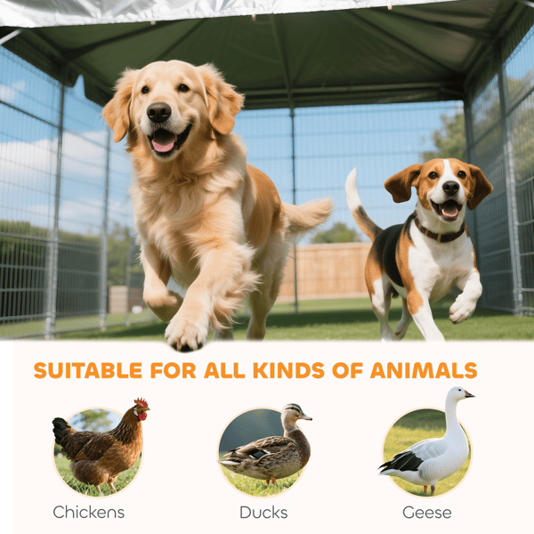 Dog Kennel