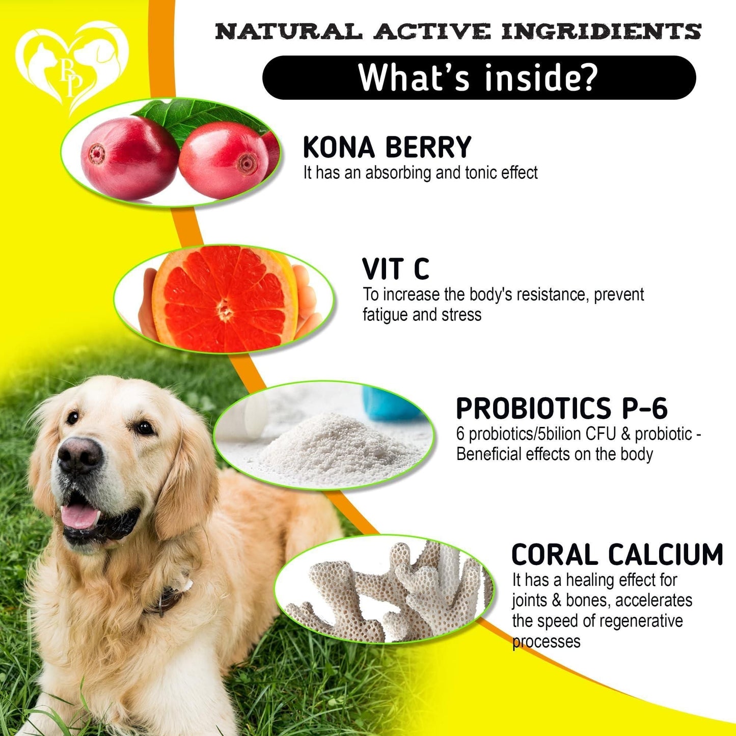 Dog Anti Itch Allergy Relief Chews Dry Itchy Skin Hot Spot Treatment with Probiotic Omega 3 Oil Immune Supplement Seasonal Allergies Medicine for Dogs Puppy 140 Bites