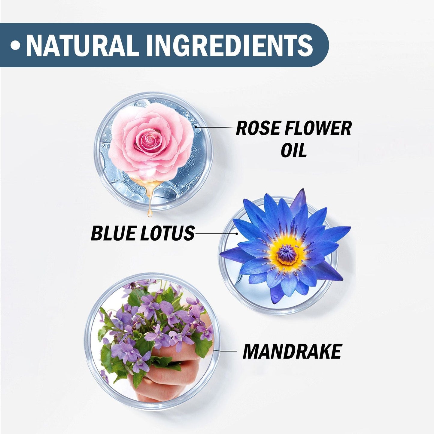 EELHOE Herbal Perfume Fresh, light, natural, long-lasting fragrance with a niche couple dating atmosphere perfume