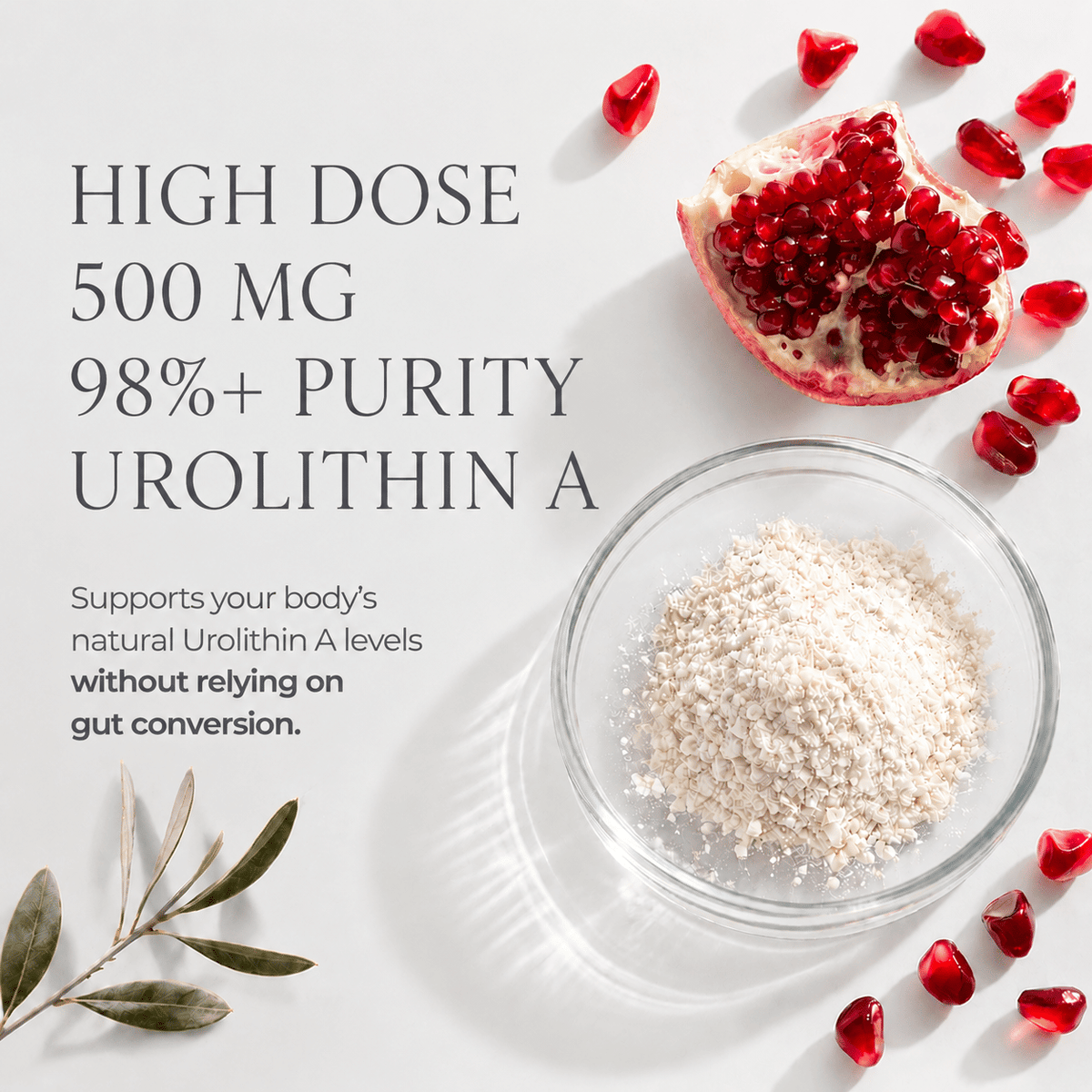 Urolithin A Supplement Softgels 500mg for Cellular Renewal & Healthy Aging