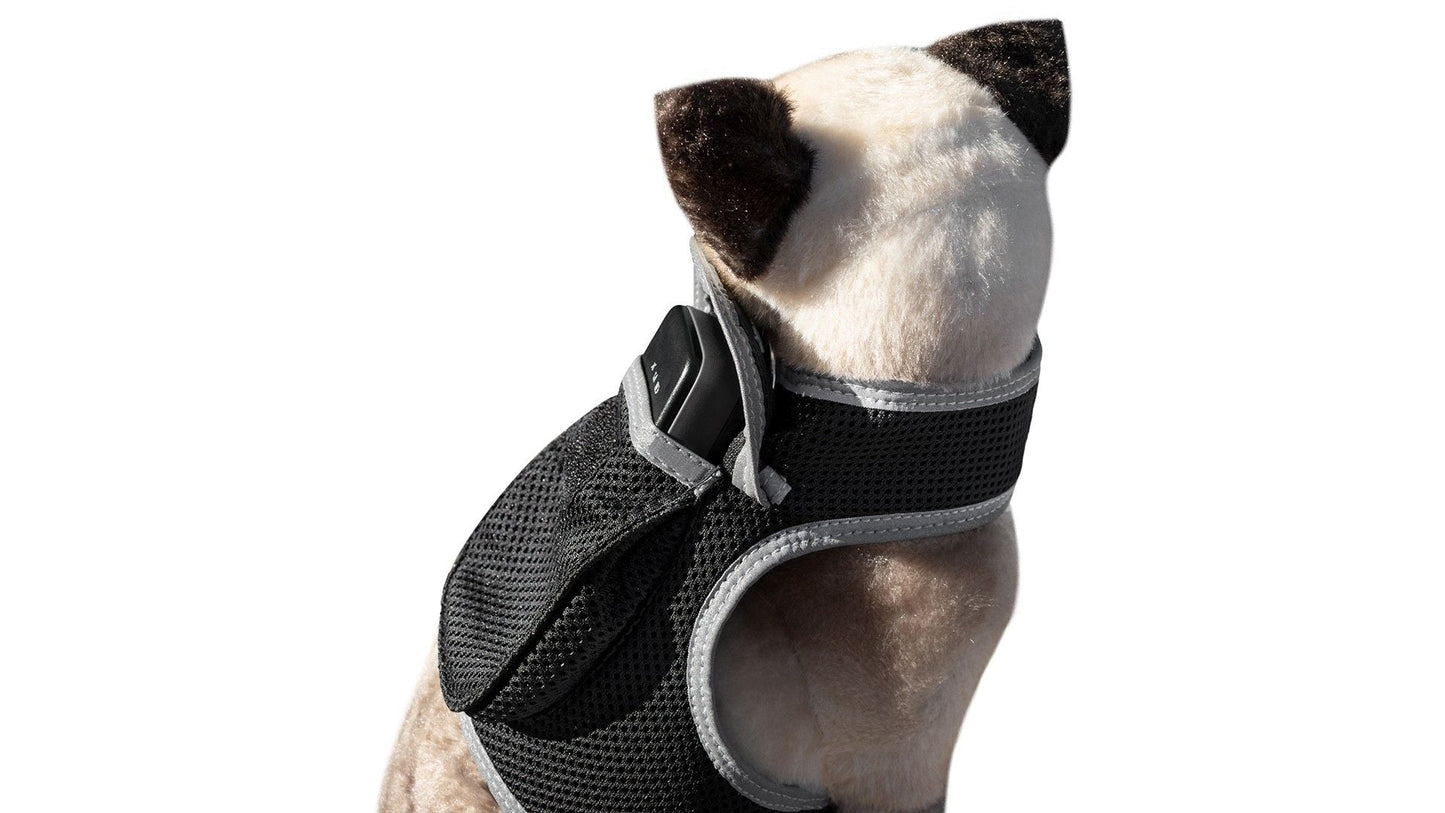 Waterproof Collar Mount Tracker Realtime GPS GSM Puppy Tracking Device Size:L