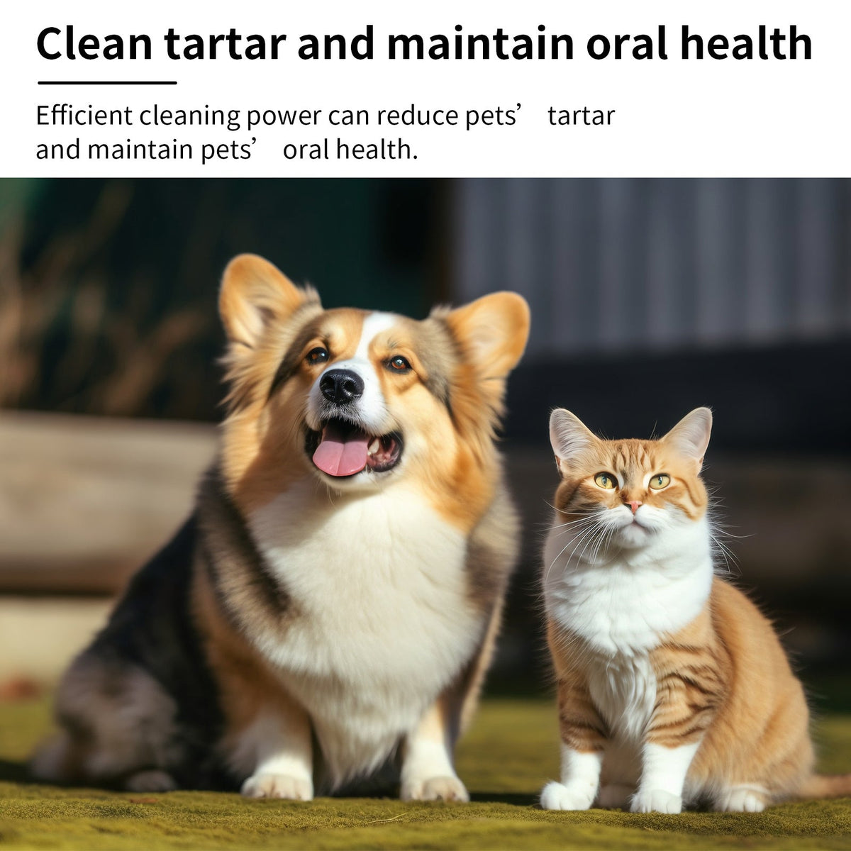 Dental Spray for Dogs, 100ml, Pet Oral Care, Oral Care Product for Daily Oral Care