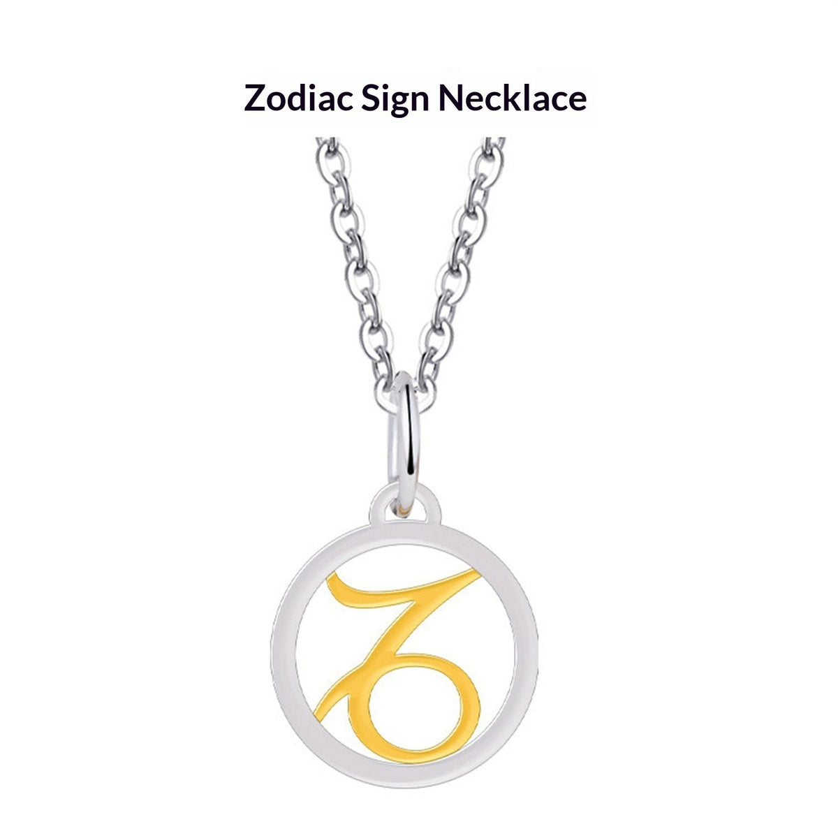 Fading S925 Sterling Silver Necklace