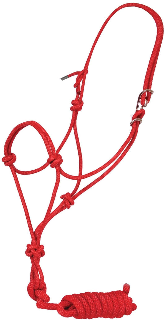 Cabestro Jeffers Easy-On Clip de Cuerda de Nylon con Ramal para Caballos