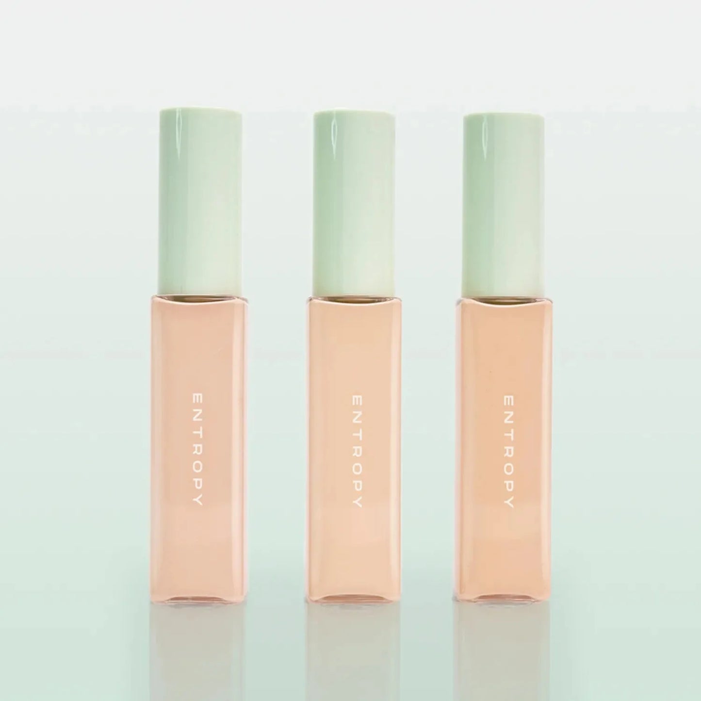 ENTROPY Organza Fit Spatula Foundation 40g