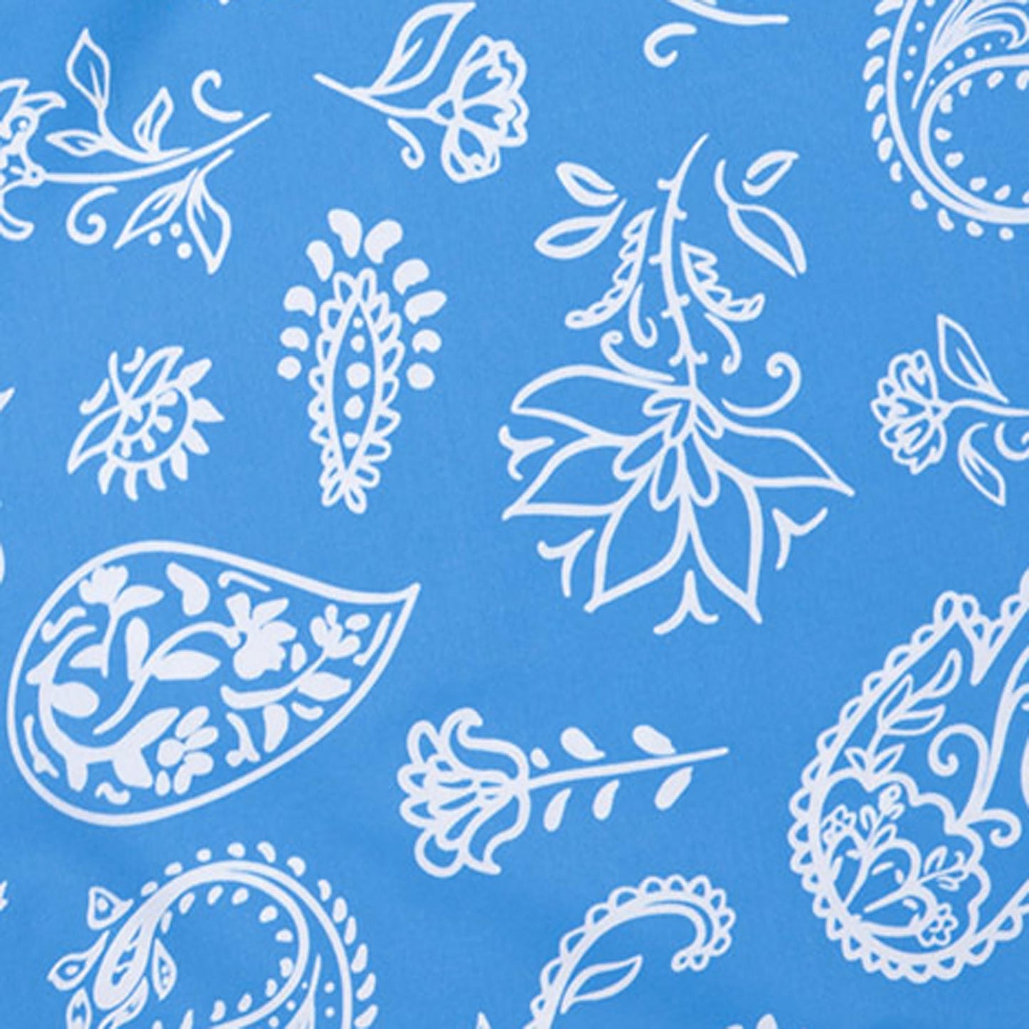 Americana Paisley - Blue | Mens Boardshort
