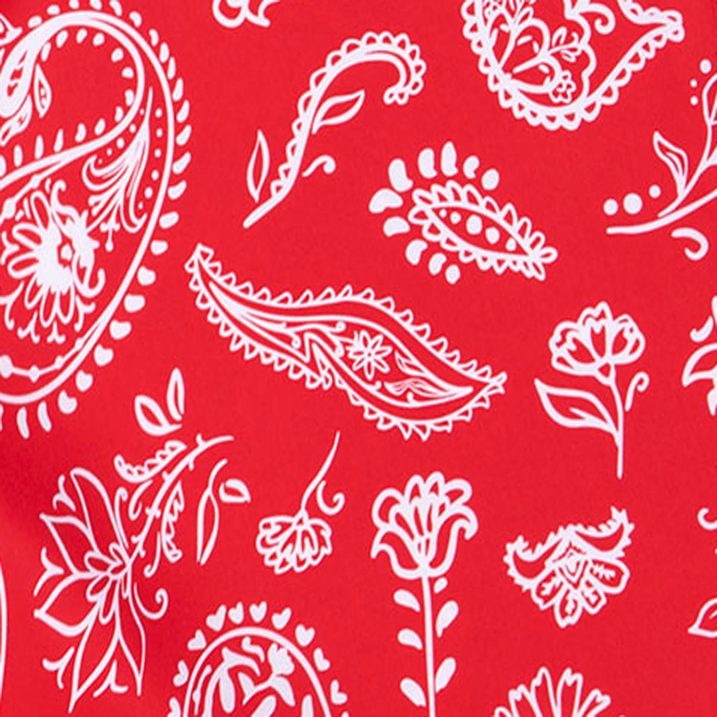 Americana Paisley - Red | Mens Boardshort