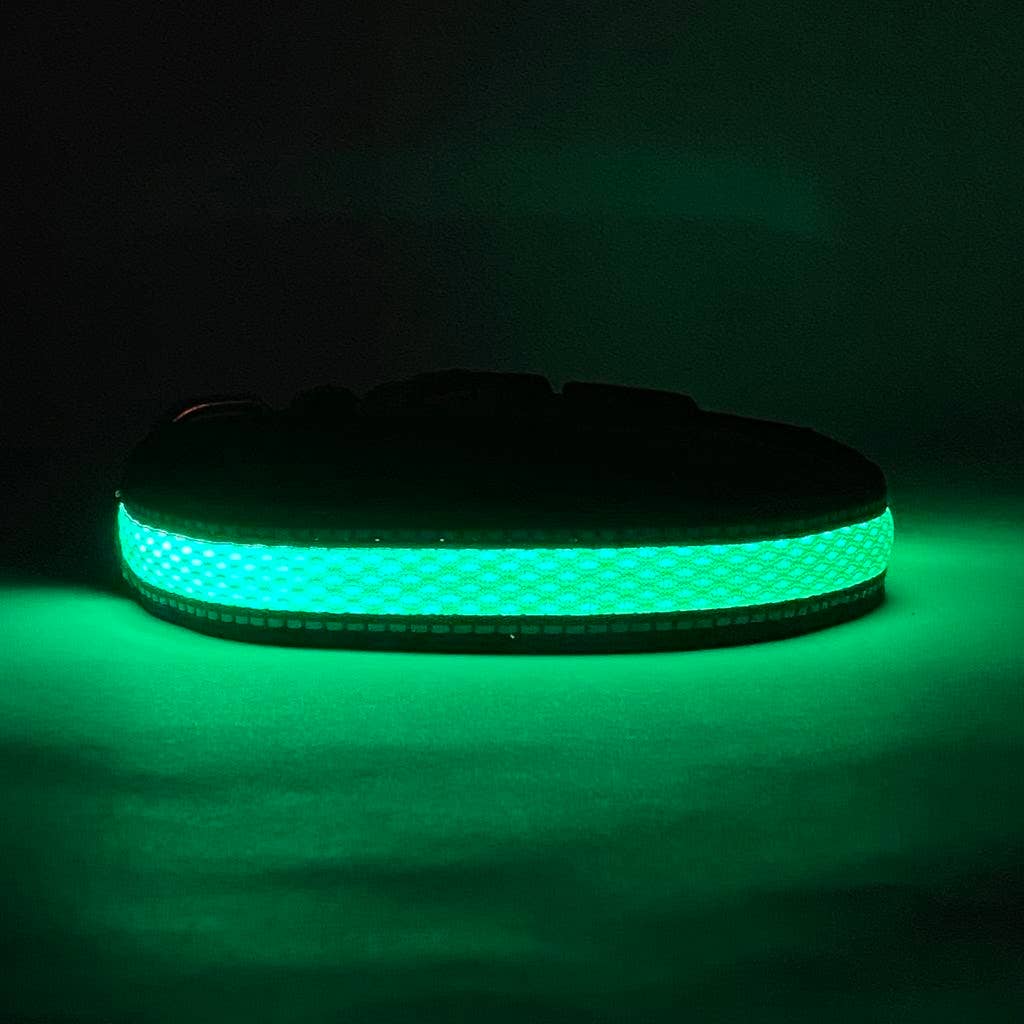 LED Dog Collar: Blue