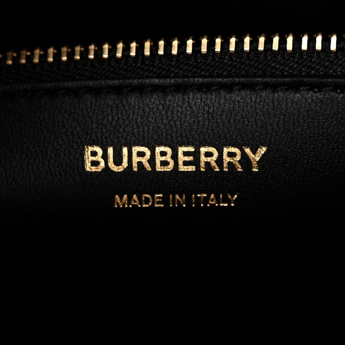 Burberry  Crocodile Embossed Calfskin Mini Frances Tote