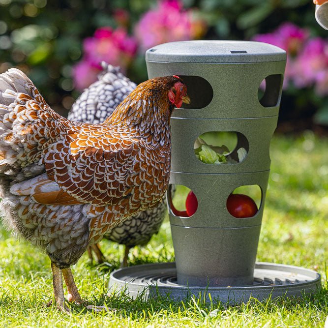 Torre de Alimentación para Gallinas – Comedero Ecológico de Tres Niveles para Aves de Corral