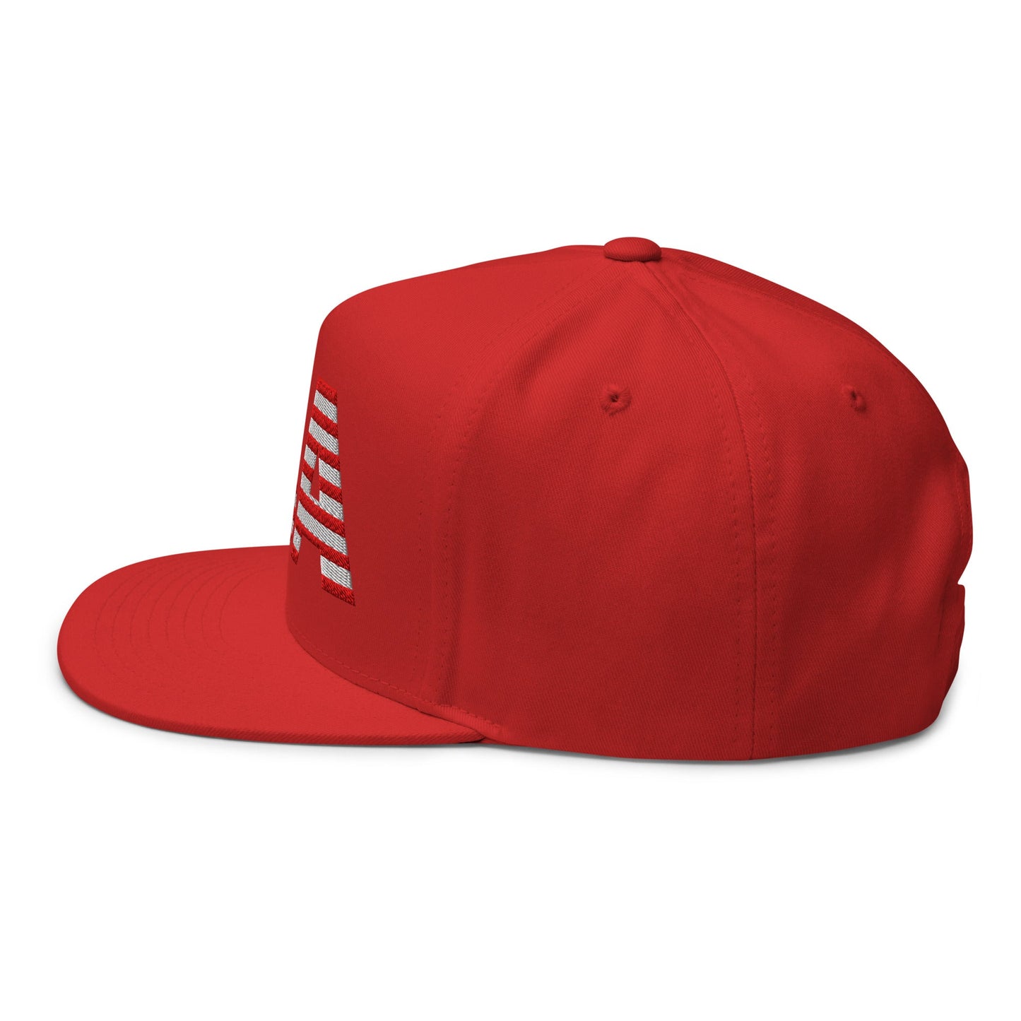 EE. UU. - Gorra de visera plana - Bordado a 1 cara