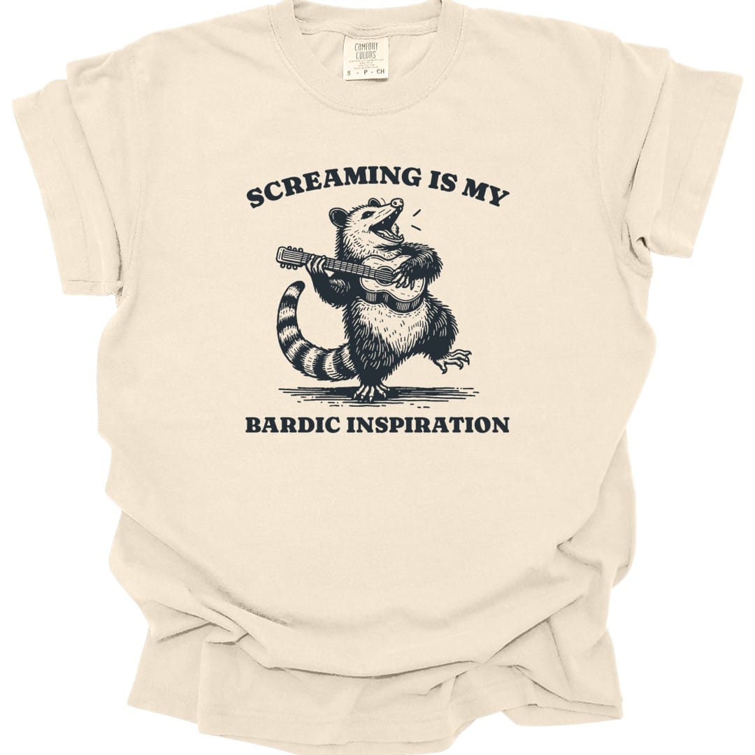 Funny Bard D&D T-Shirt - Comfort Colors